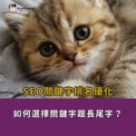 SEO關鍵字排名優化：如何選擇關鍵字跟長尾字？
